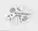 Fig. 07 - Sustained duration non-aerosol mechanical sprayer with a charging element load bearing surface