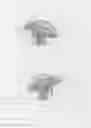 Fig. 08 - Sustained duration non-aerosol mechanical sprayer with a charging element load bearing surface