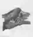 Fig. 11 - Sustained duration non-aerosol mechanical sprayer with a charging element load bearing surface