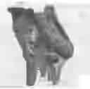 Fig. 01 - Sustained duration non-aerosol mechanical sprayer