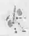 Fig. 04 - Sustained duration non-aerosol mechanical sprayer