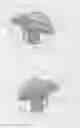 Fig. 08 - Sustained duration non-aerosol mechanical sprayer