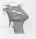 Fig. 09 - Sustained duration non-aerosol mechanical sprayer
