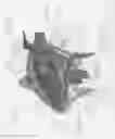 Fig. 10 - Sustained duration non-aerosol mechanical sprayer