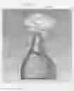 Fig. 12 - Sustained duration non-aerosol mechanical sprayer
