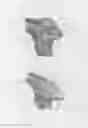 Fig. 03 - Sustained duration non-aerosol mechanical sprayer having a window for viewing the charged/uncharged condition of a transparent or translucent accumulator