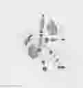 Fig. 04 - Sustained duration non-aerosol mechanical sprayer having a window for viewing the charged/uncharged condition of a transparent or translucent accumulator