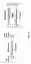 Fig. 17 - Rich object model for diverse Auto-ID tags