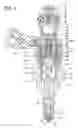 Fig. 02 - Fuel injection valve