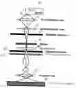 Fig. 01 - Transmission ion microscope