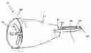 Fig. 01 - Apparatus and method for installing lines in conduits