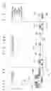 Fig. 13 - Active-matrix addressing substrate and method of fabricating the same