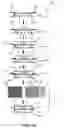 Fig. 07 - Side-emitting LED package and manufacturing method of the same