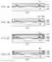 Fig. 02 - Dielectric memory and method for manufacturing the same
