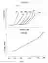 Fig. 06 - Seal chain and manufacturing method thereof