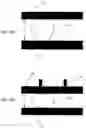 Fig. 06 - Organic electroluminescent display element and manufacturing method thereof