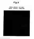 Fig. 05 - Plasma display panel including a crystalline magnesium oxide layer and method of manufacturing same