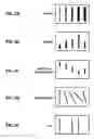 Fig. 03 - Method of interrogating a barcode