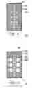 Fig. 04 - Testing assembly for electrical test of electronic package and testing socket thereof