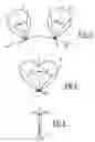 Fig. 03 - Device to determine the position of an immobile object