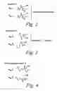 Fig. 03 - Through-the-wall frequency stepped imaging system utilizing near field multiple antenna positions, clutter rejection and corrections for frequency dependent wall effects