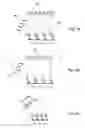 Fig. 04 - Applications for low profile two way satellite antenna system