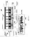 Fig. 13 - Phase shifters for beamforming applications