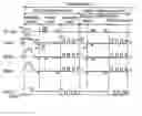 Fig. 01 - Method of driving plasma display panel
