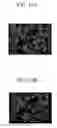 Fig. 10 - Apparatus for driving liquid crystal display device and driving method using the same