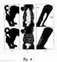 Fig. 07 - Texture montage