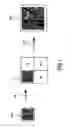 Fig. 02 - Method for spatial up-scaling of video frames