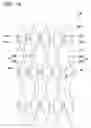 Fig. 14 - Ink jet head
