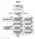 Fig. 09 - Image pick-up apparatus with a shake reducing function