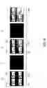 Fig. 05 - Image calibration device and method