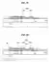 Fig. 11 - Array substrate for liquid crystal display device having defect repair structure