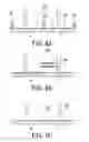 Fig. 06 - Liquid crystal display device and manufacturing method for the same