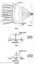 Fig. 06 - Hybrid contact lens system and method