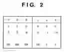 Fig. 03 - Image processing method and apparatus