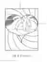 Fig. 04 - Method for Processing Multi-layered Image Data