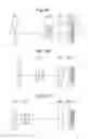 Fig. 10 - Zoom optical system and image taking apparatus using the same
