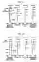 Fig. 11 - Zoom lens system and image pickup apparatus including the same