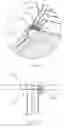 Fig. 03 - Electrostatic discharge apparatus for a treadmill