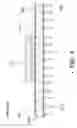 Fig. 05 - Split thin film capacitor for multiple voltages