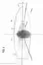 Fig. 05 - Lighting device for vehicle