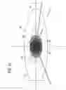 Fig. 11 - Lighting device for vehicle