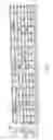 Fig. 05 - Device to program adjacent storage cells of different NROM cells
