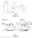 Fig. 03 - Pilot design and channel estimation