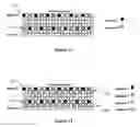 Fig. 08 - Pilot design and channel estimation
