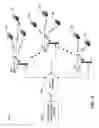 Fig. 02 - Methods and apparatus for efficient providing of scheduling information