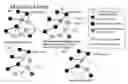Fig. 01 - Wireless mesh routing protocol utilizing hybrid link state algorithms